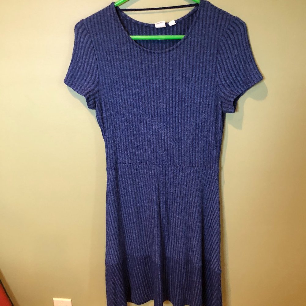 Gap Blue Knit dress